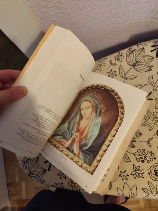 Libro museos de arte sacro y de ciencias naturales