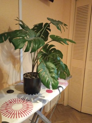 Planta Monstera Artificial
