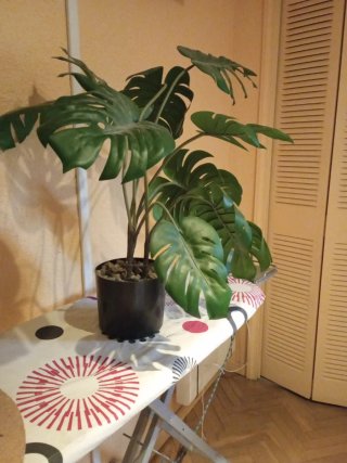 Planta Monstera Artificial