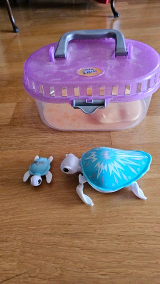 Little Live Pets Tortuga