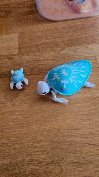 Little Live Pets Tortuga