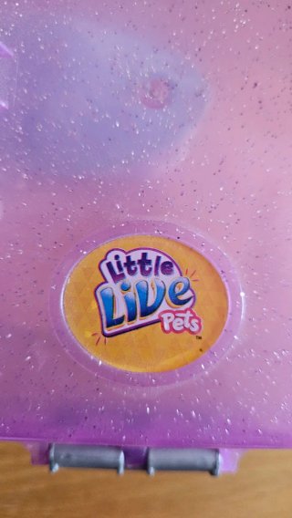 Little Live Pets Tortuga