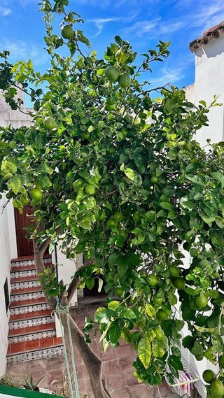 Ático en venta en Tarifa