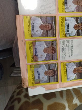 Lote cromos Real Madrid año 1983