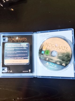 Hogwarts Legacy PS4 (PlayStation 4)