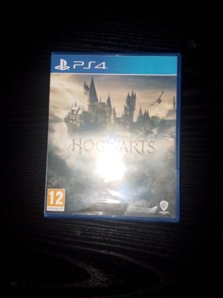 Hogwarts Legacy PS4 (PlayStation 4)