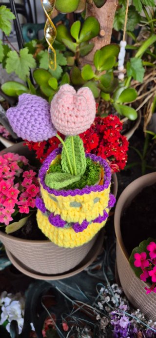 Tulipanes y maceta de crochet rosa y morado.