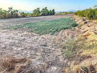 Terreno en venta en La Foia - Daimés - Asprella en Elche