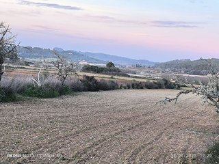 Terreno en venta en Montuïri