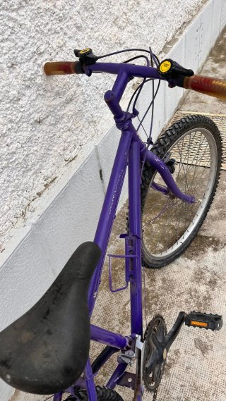 Bicicleta Morada Infantil