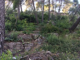 Terreno en venta en Vallirana