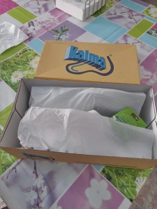 Zuecos Sanitarios Kalma Talla 38 Blancos