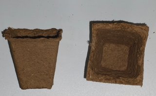 Kit Grow Cultivo Plantas Ext ó Int + 9Semillas