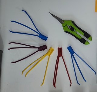 Kit Grow Cultivo Plantas Ext ó Int + 9Semillas