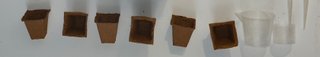 Kit Grow Cultivo Plantas Ext ó Int + 9Semillas