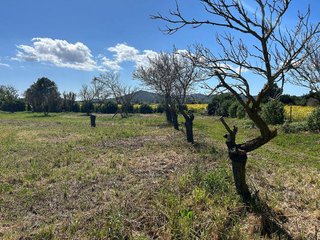Terreno en venta en Porreres