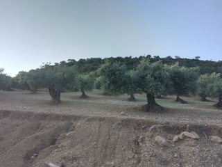 Terreno en venta en Villamartín