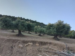Terreno en venta en Villamartín