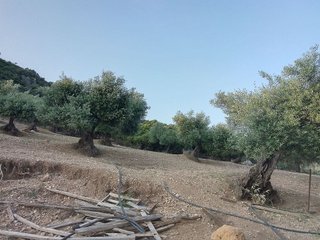 Terreno en venta en Villamartín