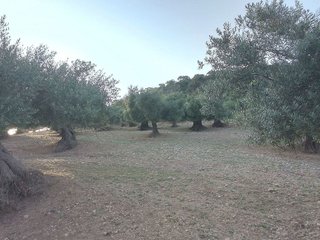 Terreno en venta en Villamartín