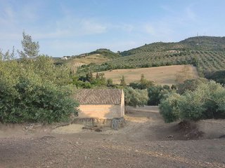 Terreno en venta en Villamartín