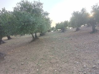 Terreno en venta en Villamartín