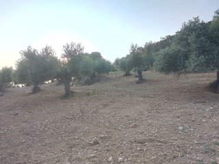 Terreno en venta en Villamartín