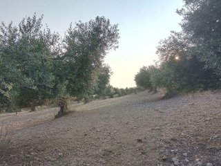 Terreno en venta en Villamartín