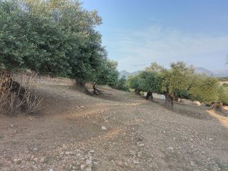 Terreno en venta en Villamartín