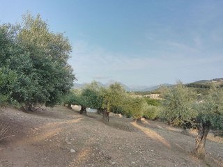 Terreno en venta en Villamartín