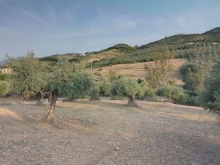 Terreno en venta en Villamartín