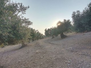 Terreno en venta en Villamartín