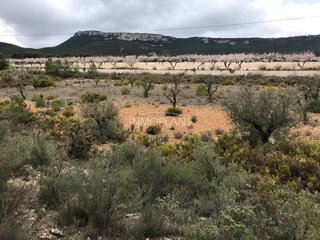 Terreno en venta en Castalla