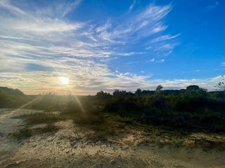 Terreno en venta en Rociana del Condado
