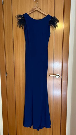 Vestido largo azul con plumas
