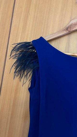 Vestido largo azul con plumas
