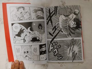 Dragon Ball  7