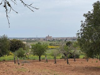 Terreno en venta en Porreres