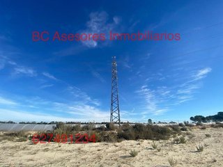 Terreno en venta en Rociana del Condado