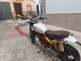 Ducati Scrambler Desert Sled Enduro trail