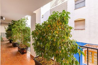 Local comercial en alquiler en San Pedro de Alcántara pueblo en Marbella