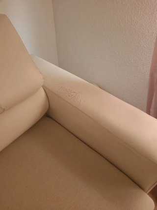 REGALO Chaiselongue/cama de piel beige