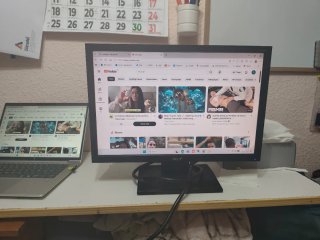 Monitor Acer 19 VGA Negro