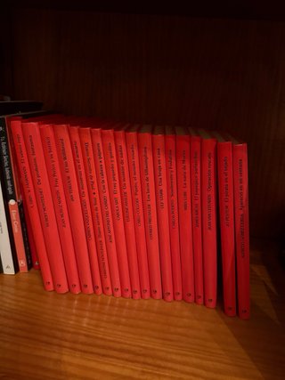 Vendo de libros infantiles “El Barco de vapor"