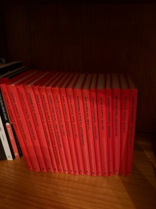 Vendo de libros infantiles “El Barco de vapor"