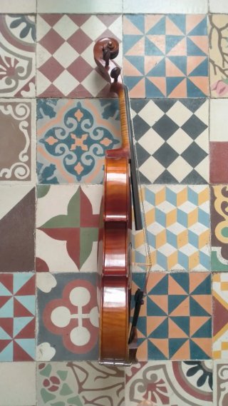 Viola Sielam Divertimento 15.5