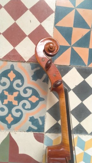 Viola Sielam Divertimento 15.5