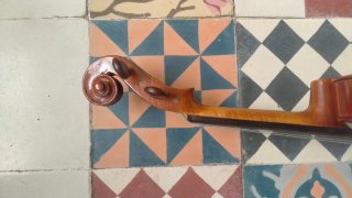 Viola Sielam Divertimento 15.5