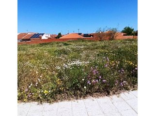 Terreno en venta en Argés