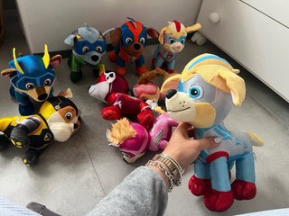 Patrulla Canina